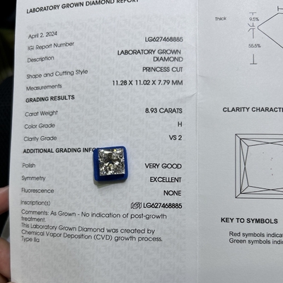 kaufen 8.93CT H Farbe VS2 Klarheit 2EX CVD Labor Erwachsener Prinzessin Schnitt Diamant online manufacture
